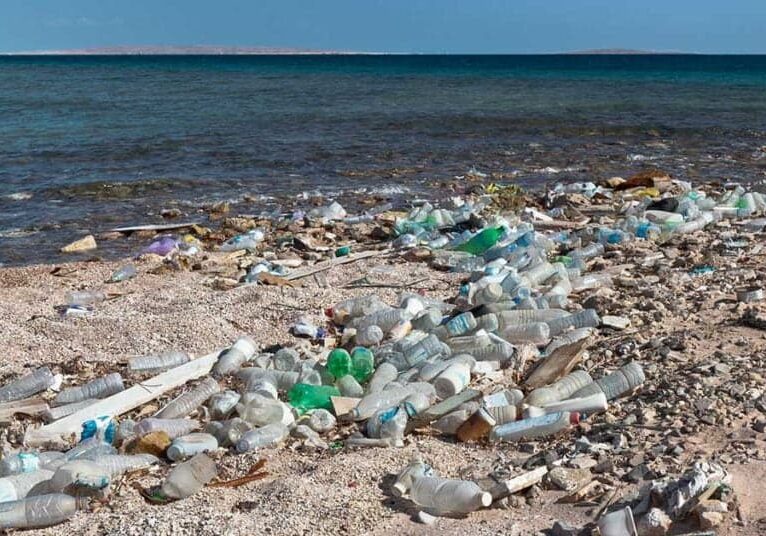 1920_plastic-litter-on-beach-790483